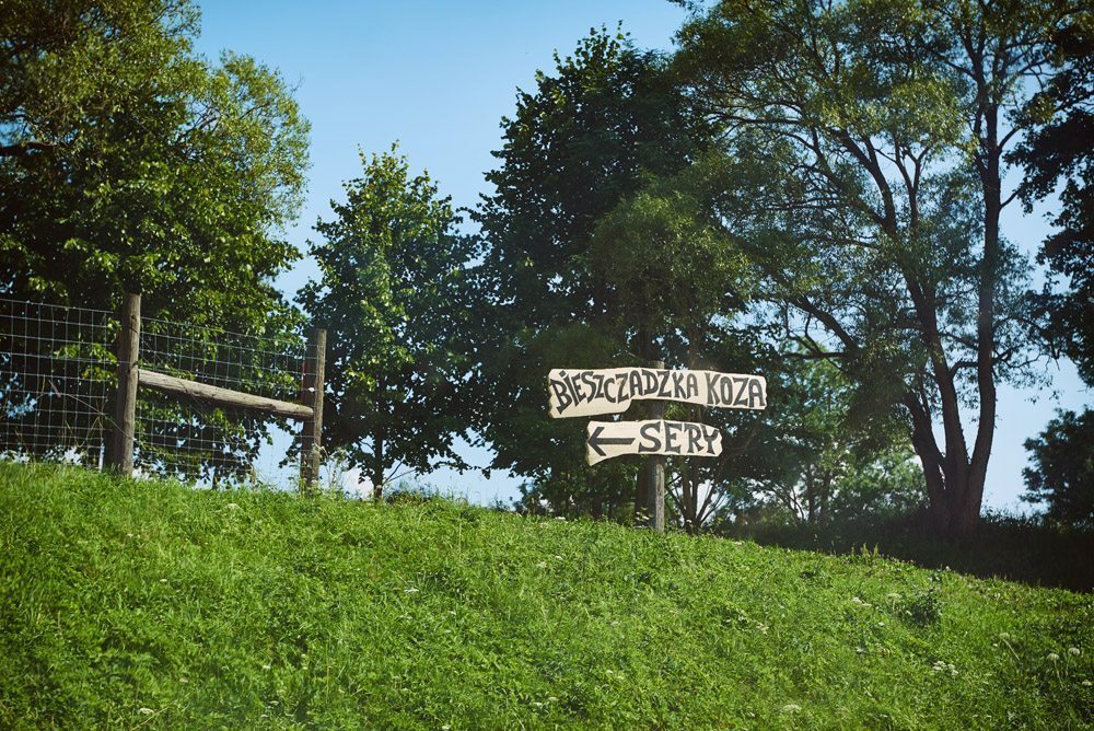 ewelina gierszewska fotograf ślubny 15