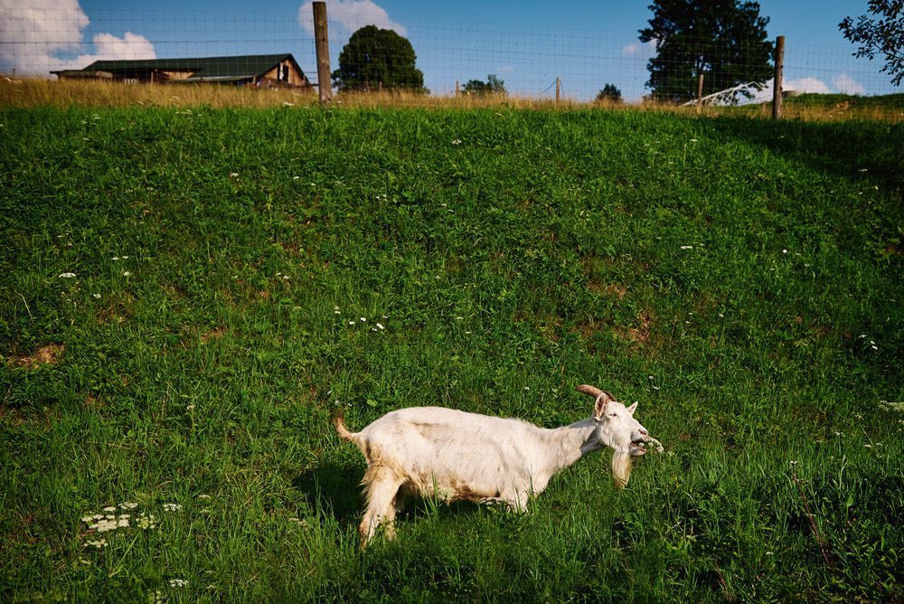 ewelina gierszewska fotograf ślubny 16