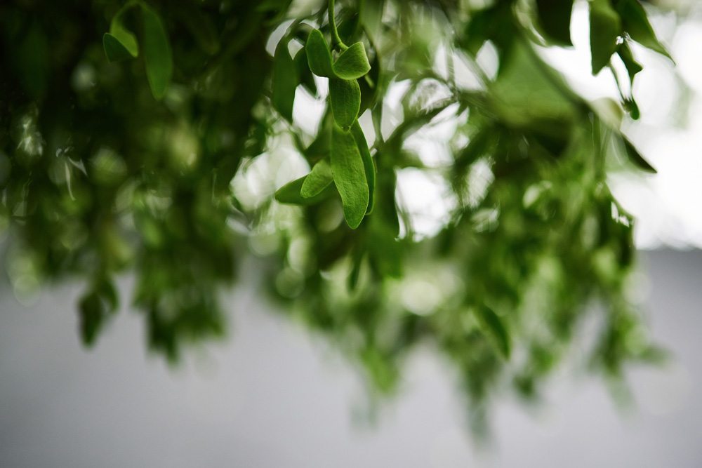 wesele rustykalne egierszewska.pl_05